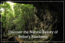 Belize Rainforest Ecotourism