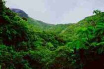 El Yunque National Forest Ecotourism
